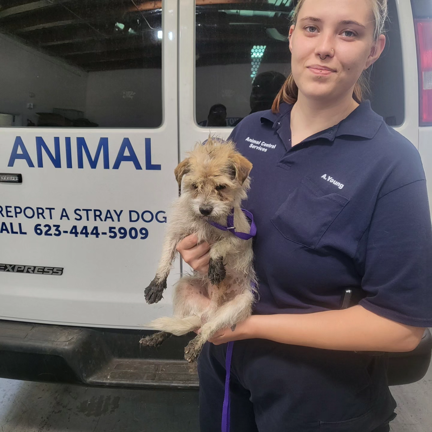 Animal Control Officer holding stray dog.